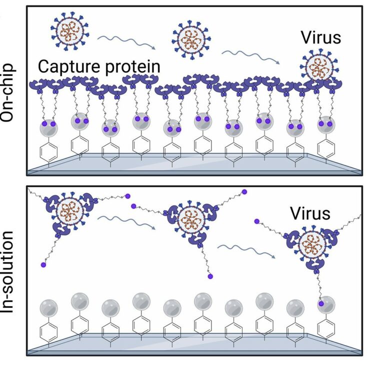 Ultrasensitive detection of intact SARS-CoV-2 particles in complex biofluids using microfluidic affinity capture