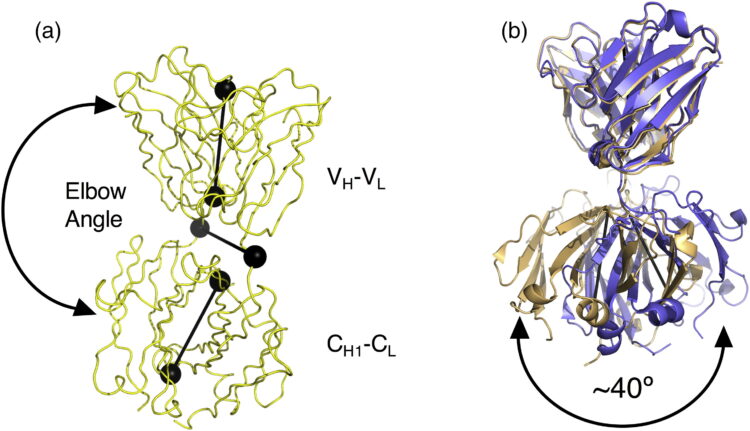 Locking the Elbow: Improved Antibody Fab Fragments as Chaperones for Structure Determination