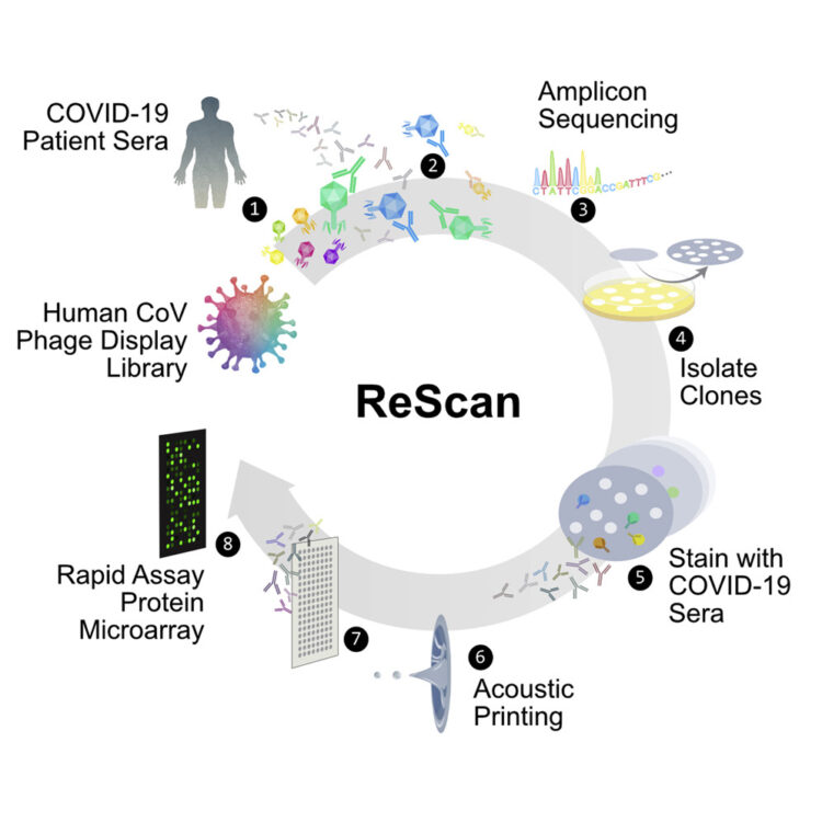 ReScan, a Multiplex Diagnostic Pipeline, Pans Human Sera for SARS-CoV-2 Antigens