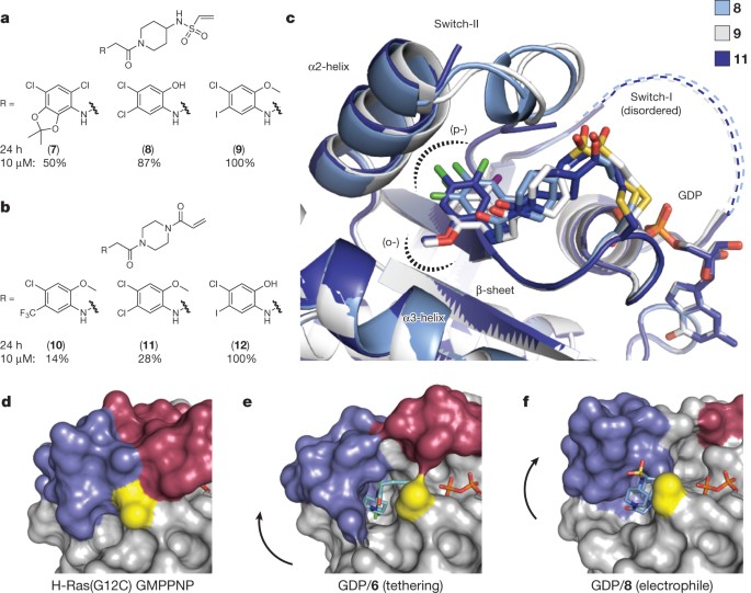 K-Ras(G12C) inhibitors allosterically control GTP affinity and effector interactions