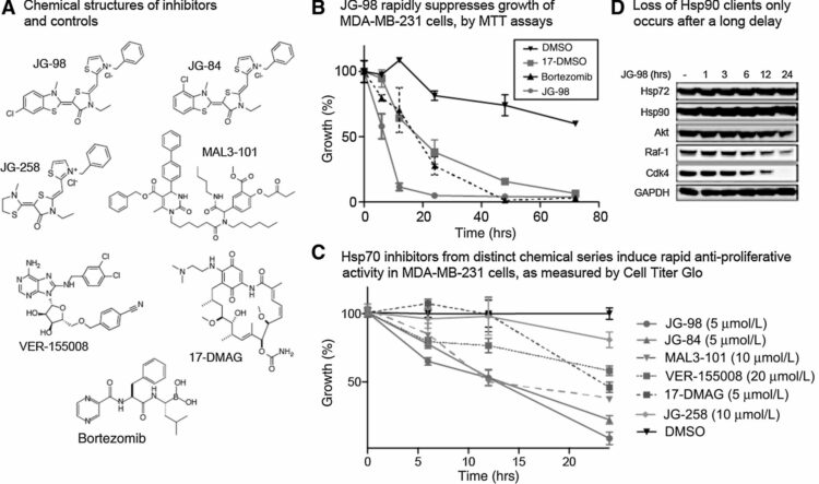 Heat Shock Protein 70 (Hsp70) Suppresses RIP1-Dependent Apoptotic and Necroptotic Cascades