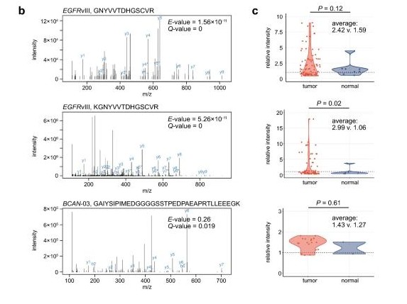 Challenges in the discovery of tumor-specific alternative splicing-derived cell-surface antigens in glioma