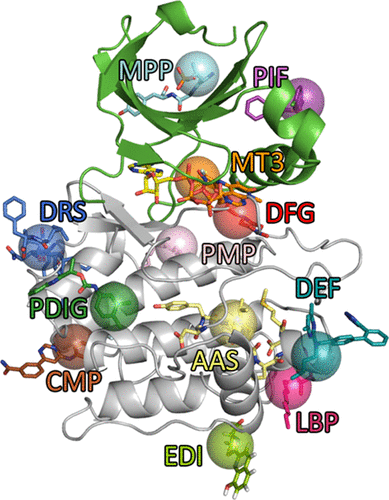 Kinase Atlas: Druggability Analysis of Potential Allosteric Sites in Kinases