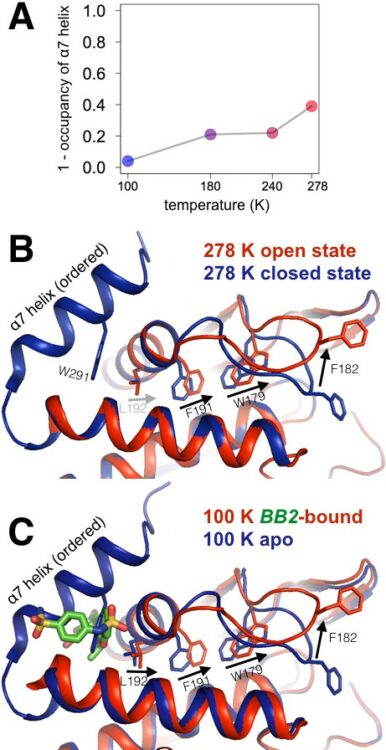 An expanded allosteric network in PTP1B by multitemperature crystallography, fragment screening, and covalent tethering