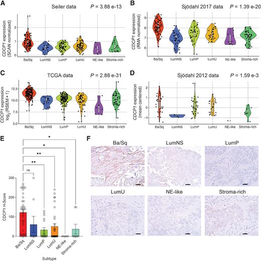 Theranostic Targeting of CUB Domain-Containing Protein 1 (CDCP1) in Multiple Subtypes of Bladder Cancer