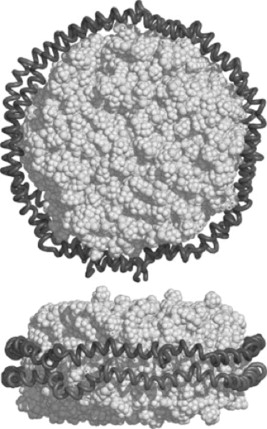 Phage display selections for affinity reagents to membrane proteins in nanodiscs