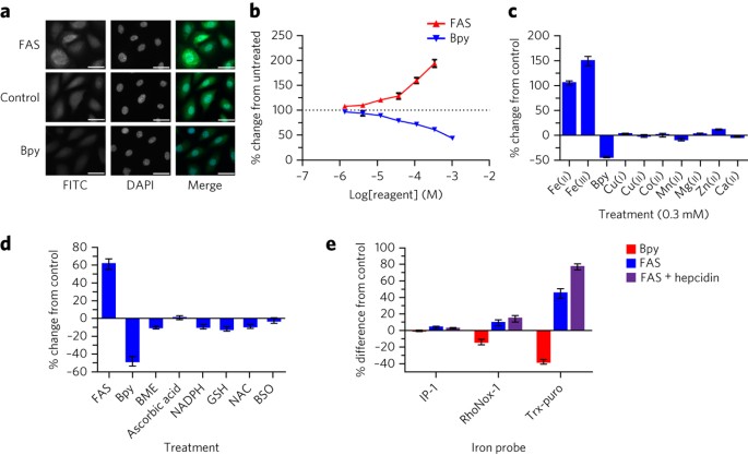 A reactivity-based probe of the intracellular labile ferrous iron pool