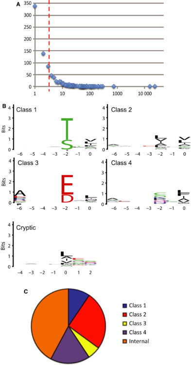 Proteomic peptide phage display uncovers novel interactions of the PDZ1-2 supramodule of syntenin