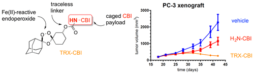 A Novel Tumor-Activated Prodrug Strategy Targeting Ferrous Iron Is Effective in Multiple Preclinical Cancer Models