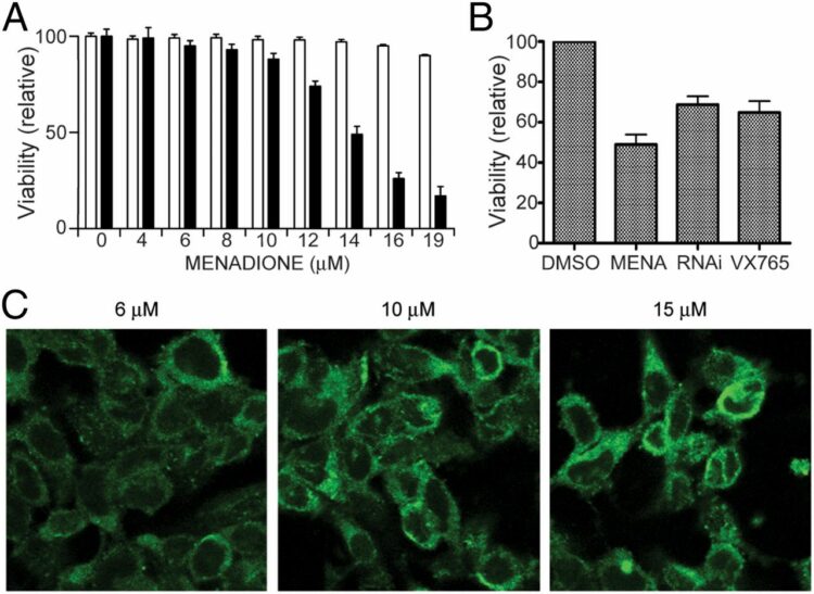 Caspase-1 causes truncation and aggregation of the Parkinson's disease-associated protein α-synuclein