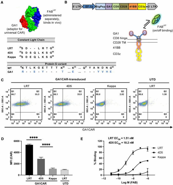 A universal chimeric antigen receptor (CAR)-fragment antibody binder (FAB) split system for cancer immunotherapy
